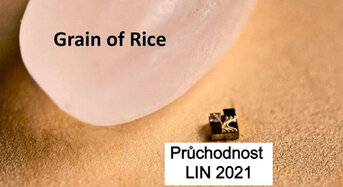 Thumbnail: rice.jpg